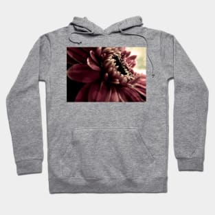 Dark Hearted Hoodie